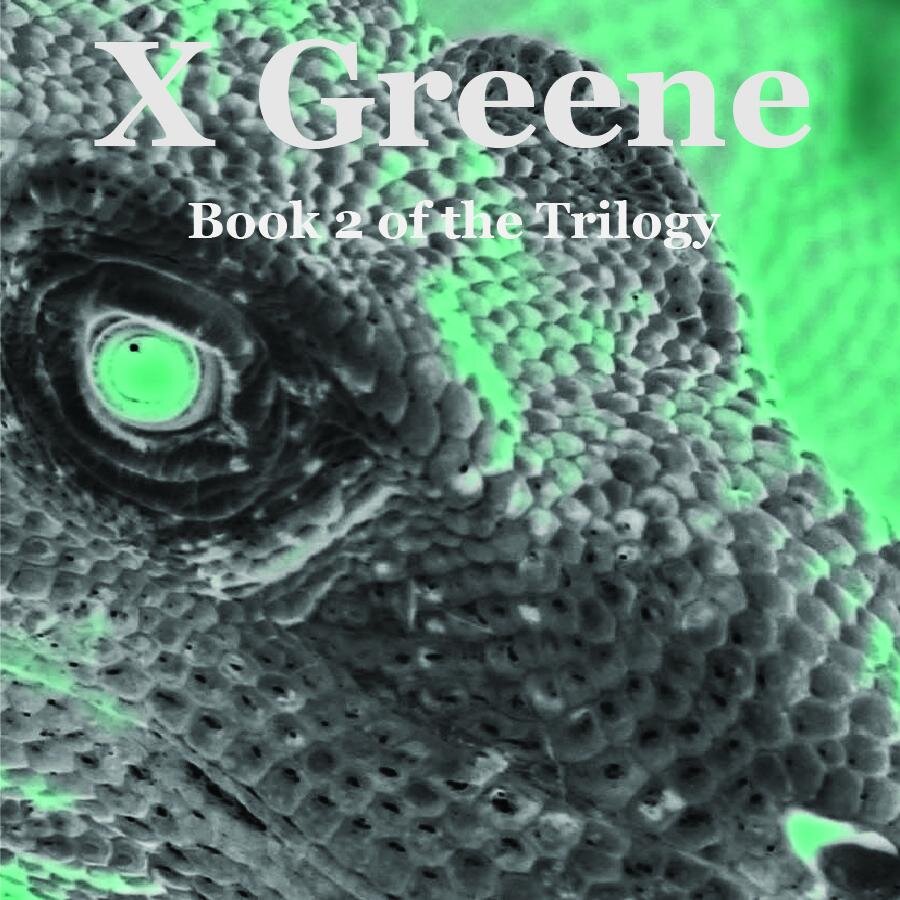 rfgbooks's profile picture. My name is Becca Gainsburg. Self-published author of the Dragon Chick Trilogy. Check out my books at http://t.co/TcU0VrbZRV