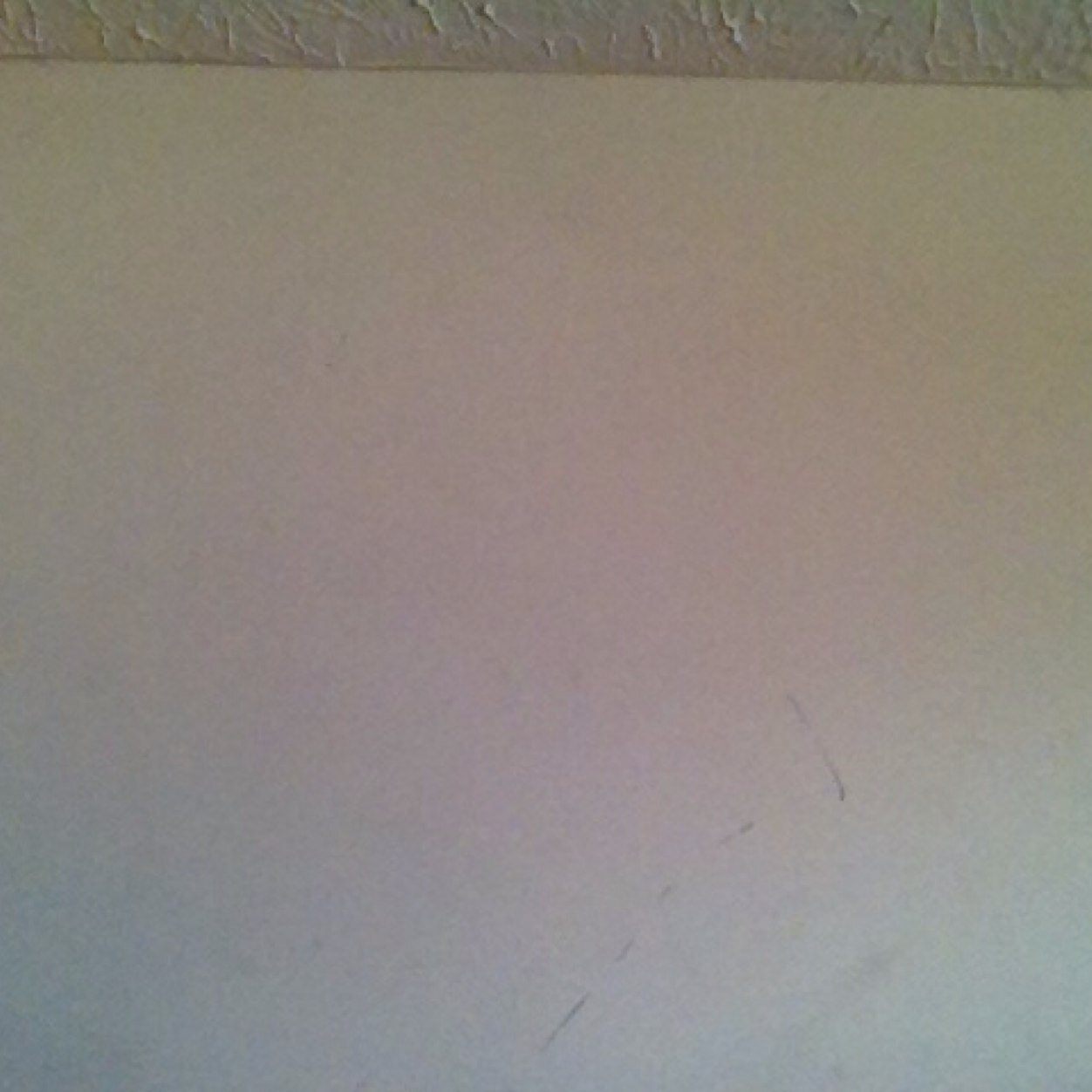 pwlowdown's profile picture. Accout temporarily down for test purposes