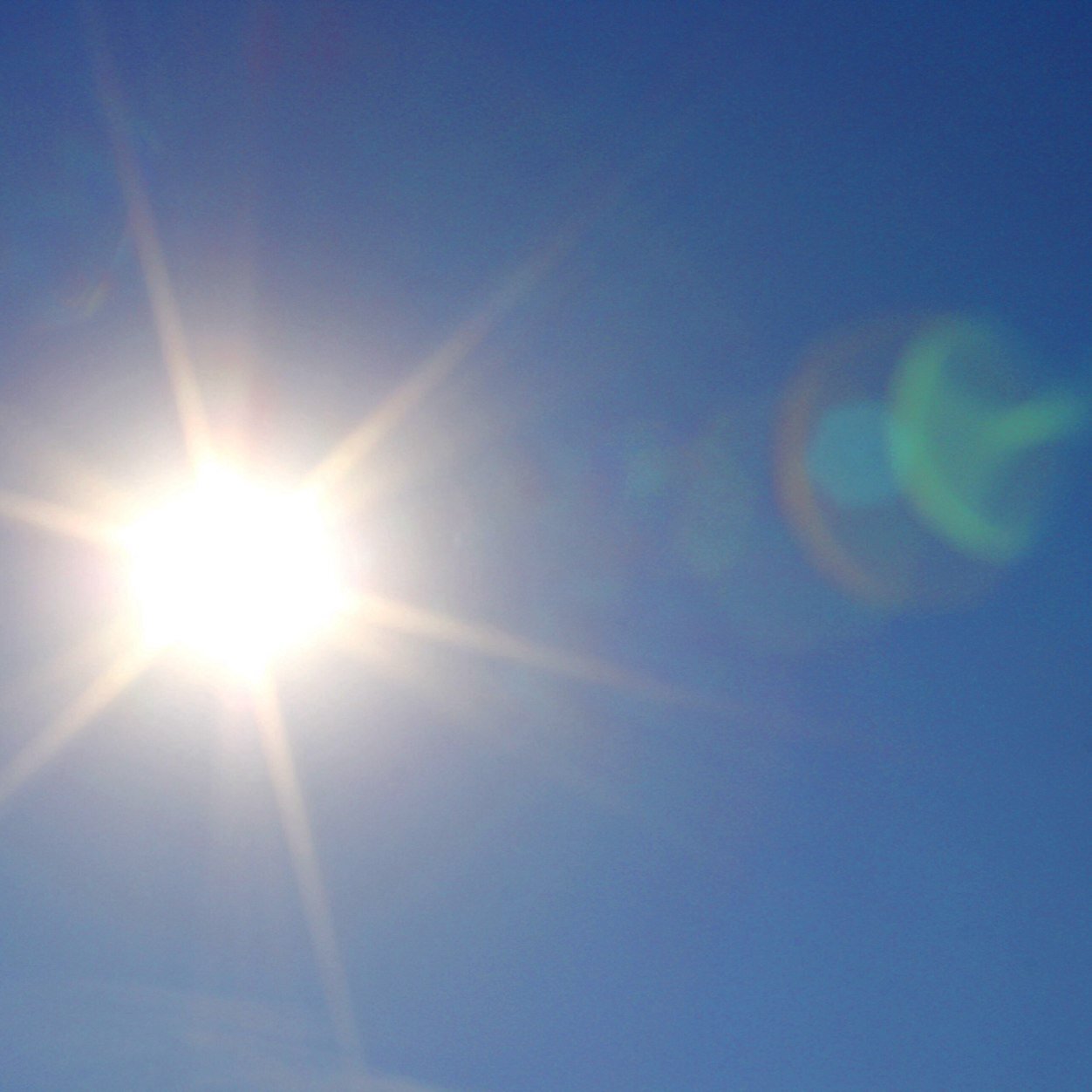 coastonblast228's profile picture. exposing the good and bad, dm us dirty secrets or embarassing pictures