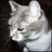 spamfvas's profile image