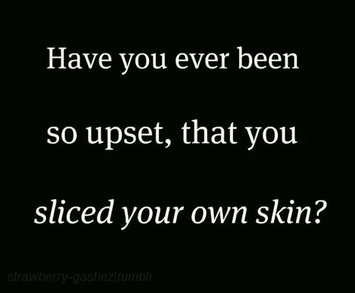 bam4life3's profile picture. hellloo im fan of @barsandmelody i love them so much and follow @louloumahone5 that is my twitter account