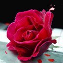 جنة الفردوس♡ (@0000Mesooo) Twitter
