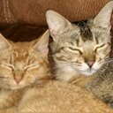 Maxine Spivey - @e39dd142f245453 - Twitter