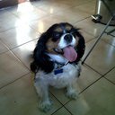 rony2366's profile picture. 