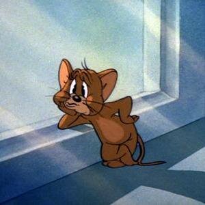 dthjybrfktrjvwt's profile picture. 