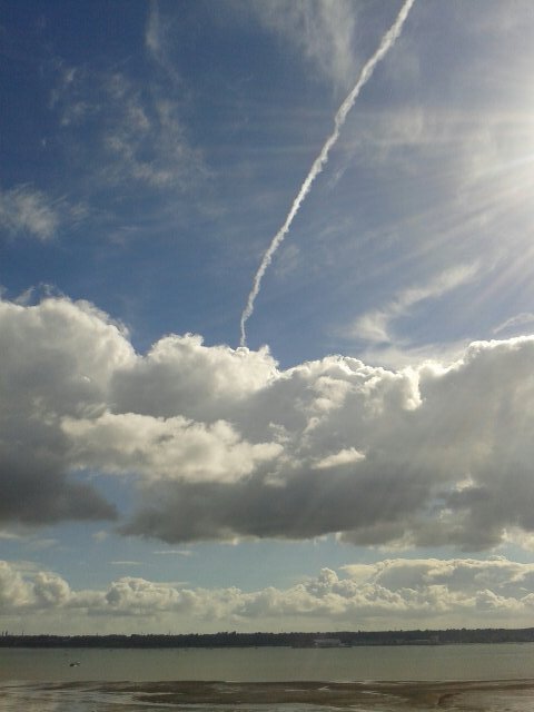 stopnwo444's profile picture. 