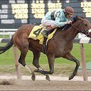Bronx Thorobred Supporters Club Founded 1994 Manhattan College Picking horses and donning Hawaiian shirts #Birdstone is gonna make him earn it today!