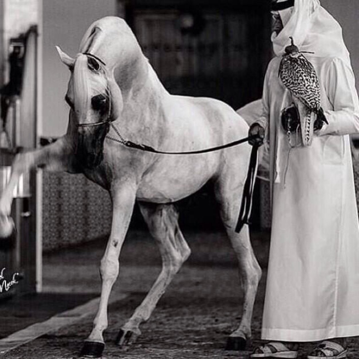 .. خَـلـٓوٌنِيْ .. آسٓجَ عْنّ موُضَوِعهْ أحسٓنً ليِ ..-.. وإلآ إلغَلاْ واللّٰه أن يبّطِيْ وَهٌوِ غّاِلٌيْ ... السسسليل الى الشرقية ،،