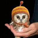 Joyce Mireles - @mirelesjoyce - Twitter