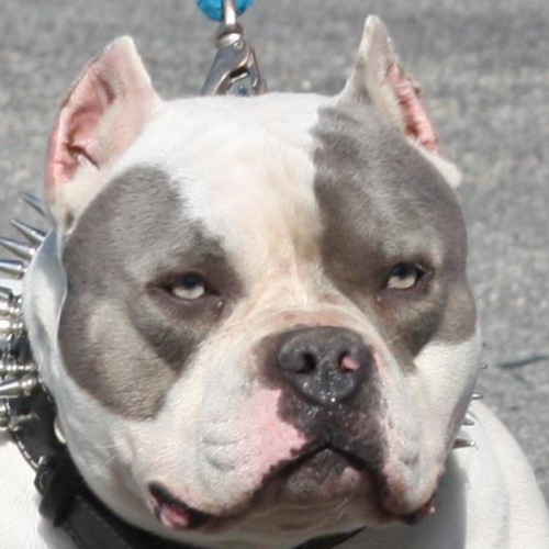 Brycemyers3's profile picture. 