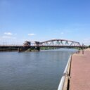 Nelflorence's profile picture. 