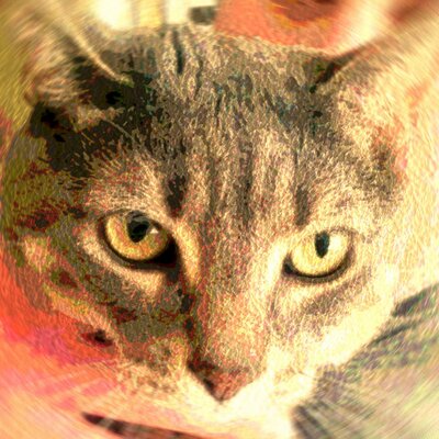 JacketLouTheCat's profile image