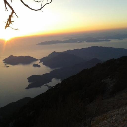 nermka's profile picture. 