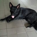 Jamie Lopes - @LopesJamie - Twitter