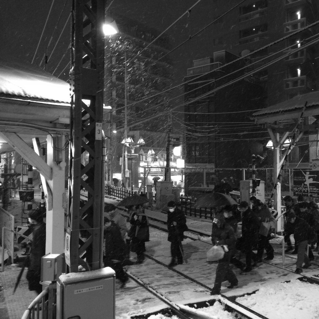 aoakazukume's profile picture. 