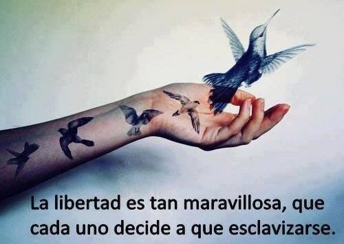 greciaram's profile picture. 