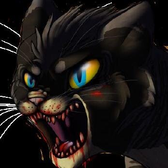 {Tom Mate: @Spotted_of_DC} I'm fierce and will kill whoever dares to anger me. Thats only the outer shell. My fierce appearance is the only thing I let you see.