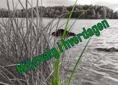 miljovalg's profile picture. Interessert i miljøspørsmål. Hvilke endringer kan man gjøre i hverdagen for å ta hensyn til miljøet på en bedre måte?