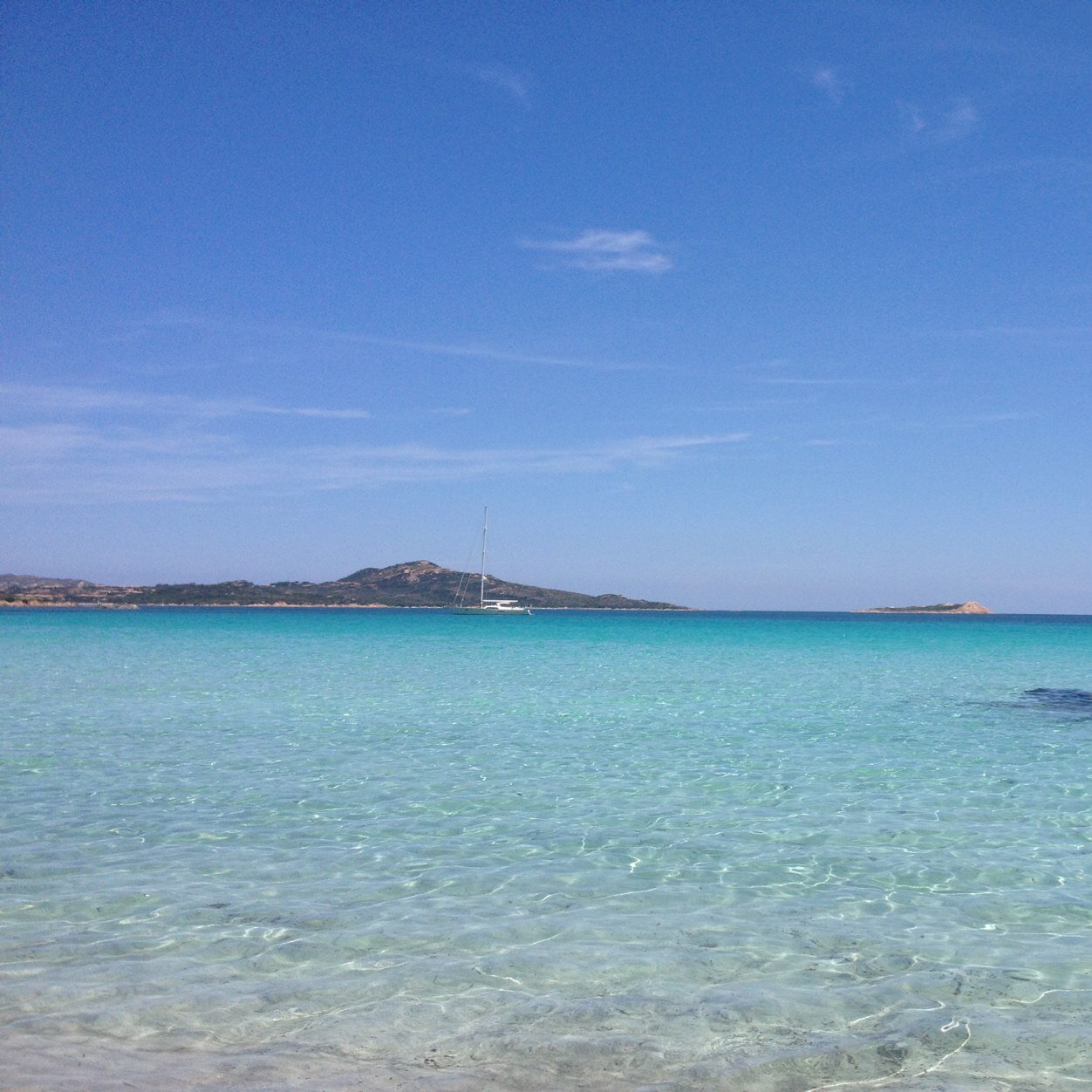 cell_ale's profile picture. 