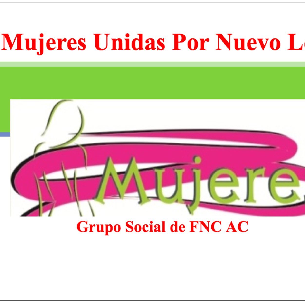 Movimiento ciudadano integrado por Mujeres mayores de 30 años y Jovenes de 16 a 29 años, luchando Por una vida digna y justa para todos. Grupo Social de FNC AC