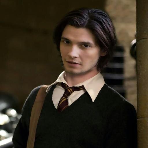 SiriusOrion14's profile picture. 5th year, Marauder, gay.