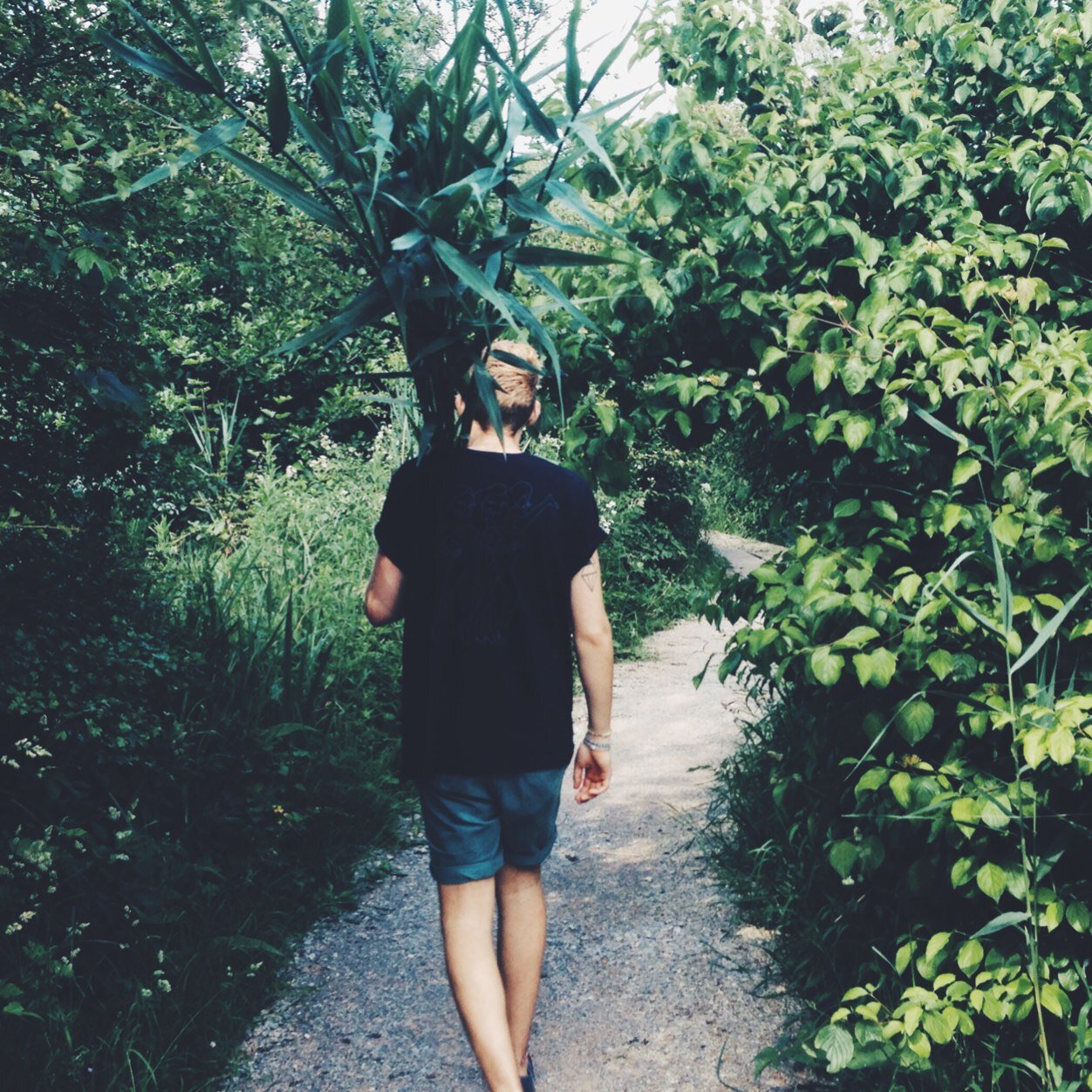 _MichaelATaylor's profile picture. Designer https://t.co/PKRzHrZORo