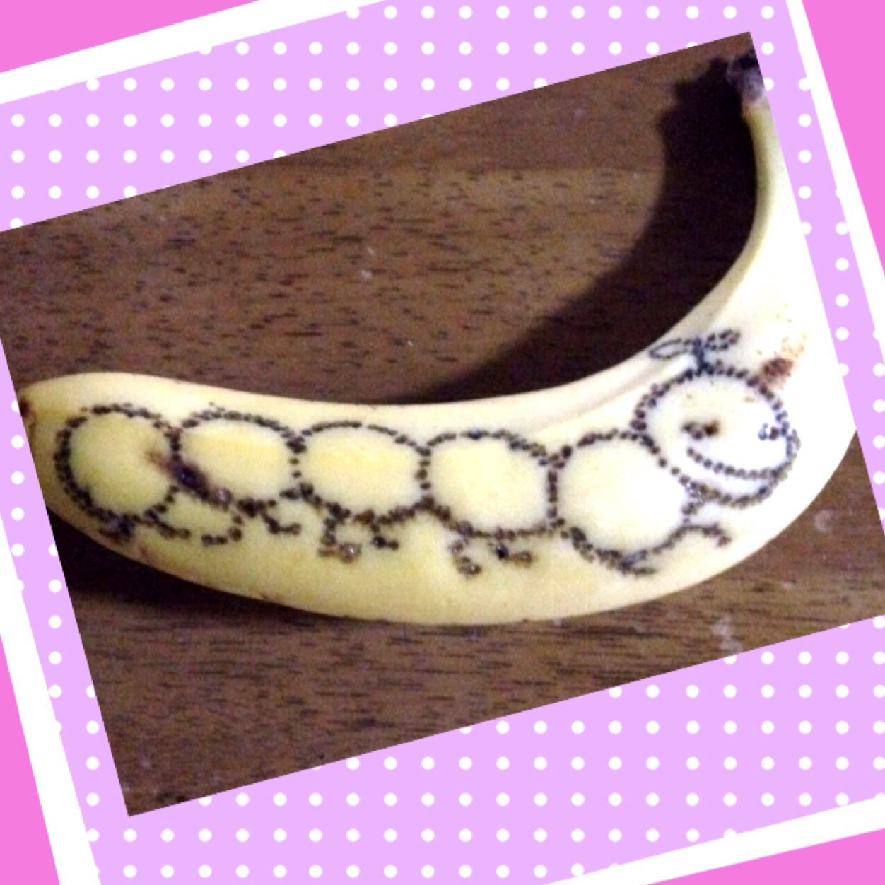 owl_no's profile picture. 