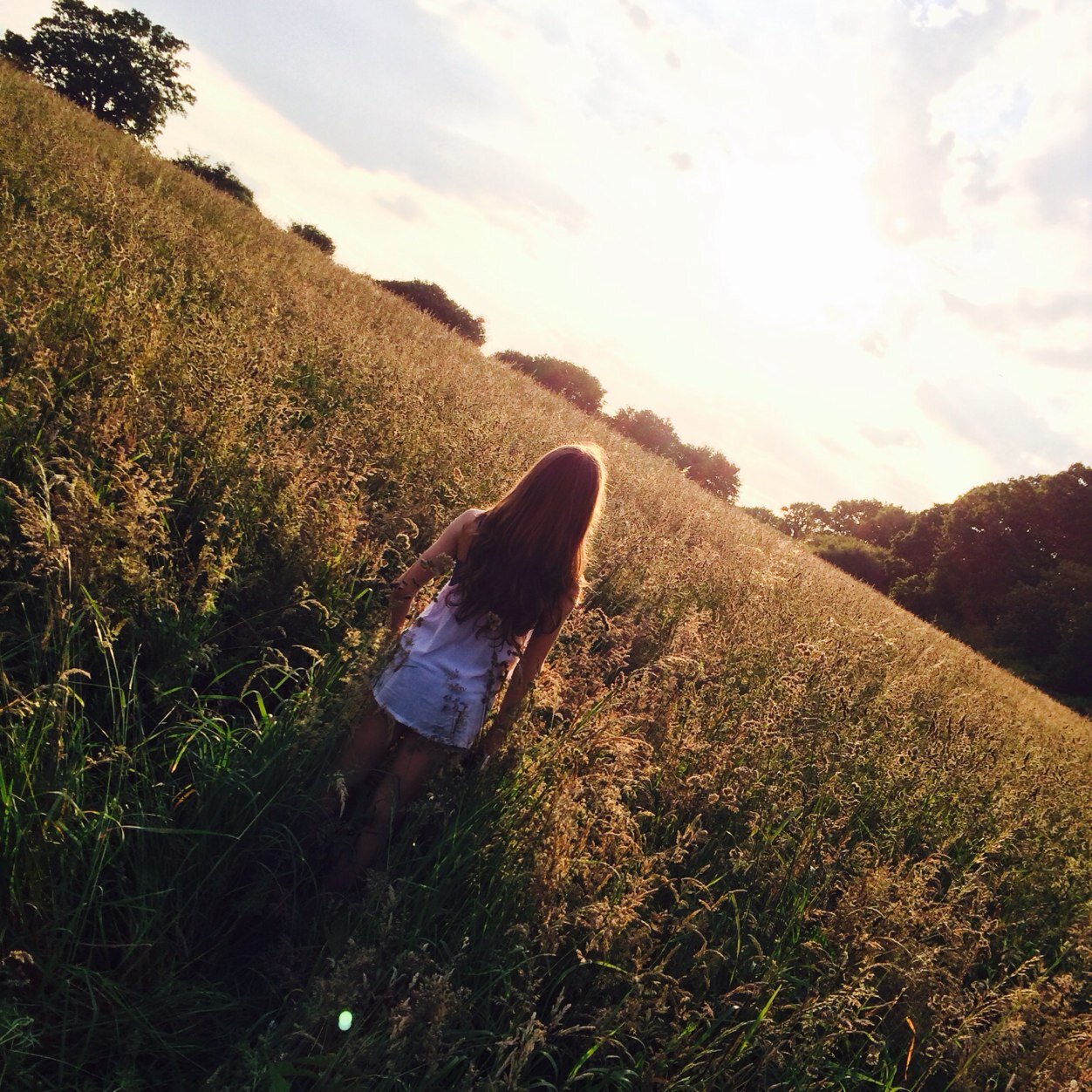 annie__harrisx's profile picture. Theo//Josh