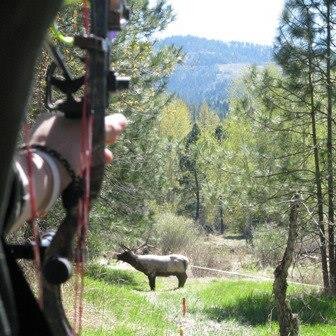 SAVE THE DATE: June 19-21, 2015
Silver Mt Resort in Kellogg, ID
1st Annual Idaho State Bowhunters Region 1 Jamboree featuring a Train to Hunt course and more!
