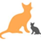 Check out our website to learn more about your favorite cat breeds!