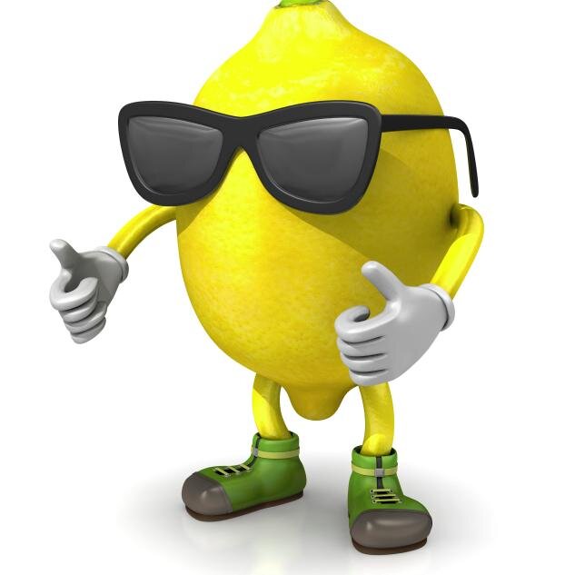 Veteran and Progressive.

When life hands you lemons, make lemonade!

A Subject Matter Generalist (SMG) on most things.

Also at @lemonslayer.bsky.social
