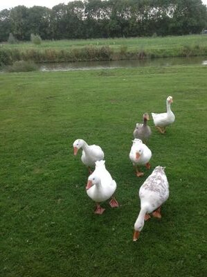 Ik hou van de natuur