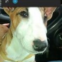 fernando castilla - @fercastilla2011 - Twitter