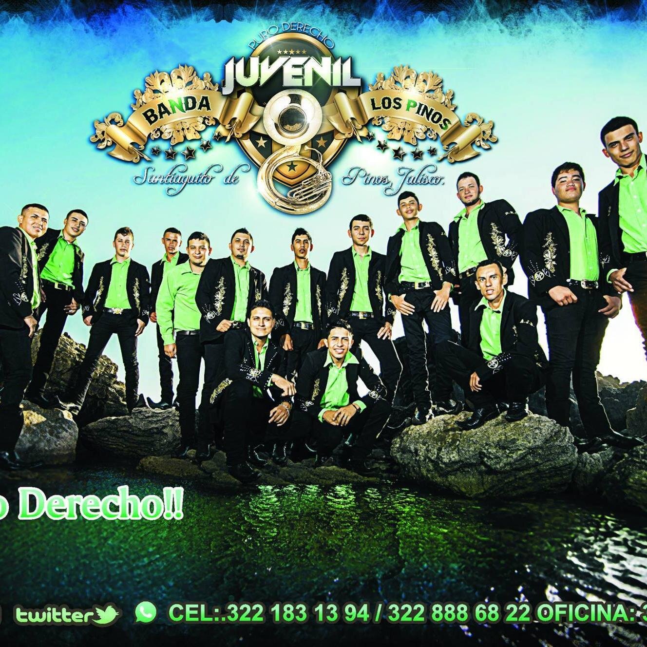 Banda estilo Sinaloense, Banda Juvenil los Pinos de Santiago de Pinos, Jalisco. Cuenta con 17 integrantes jovenes  talentosos.