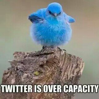 ravizar07's profile picture. 