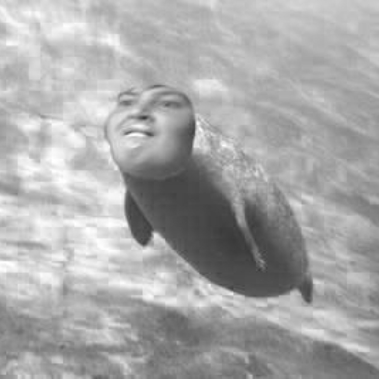 _palolo's profile picture. 