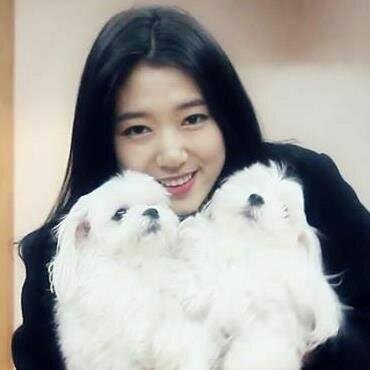 Nothing but a typical normal yongshin shipper 3