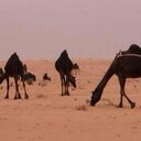 فوز الشـــمري (@22_n2014) Twitter