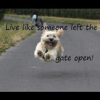 suzsall's profile picture. 