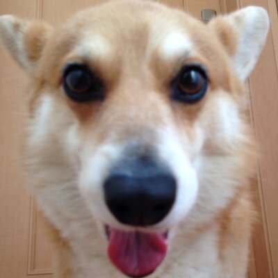 たけなかのぞみ