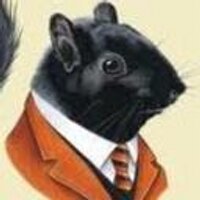 The Black Squirrel (@thblacksquirrel) 's Twitter Profile