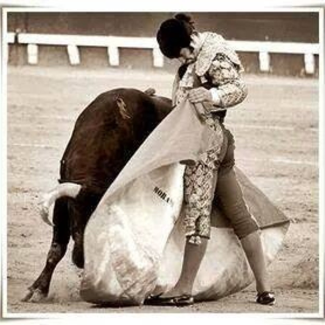 andresm77230420's profile picture. Abogado, defrnsor de la fiesta brava!