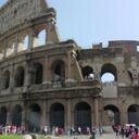 feliperro68's profile picture. Tigrero por siempre