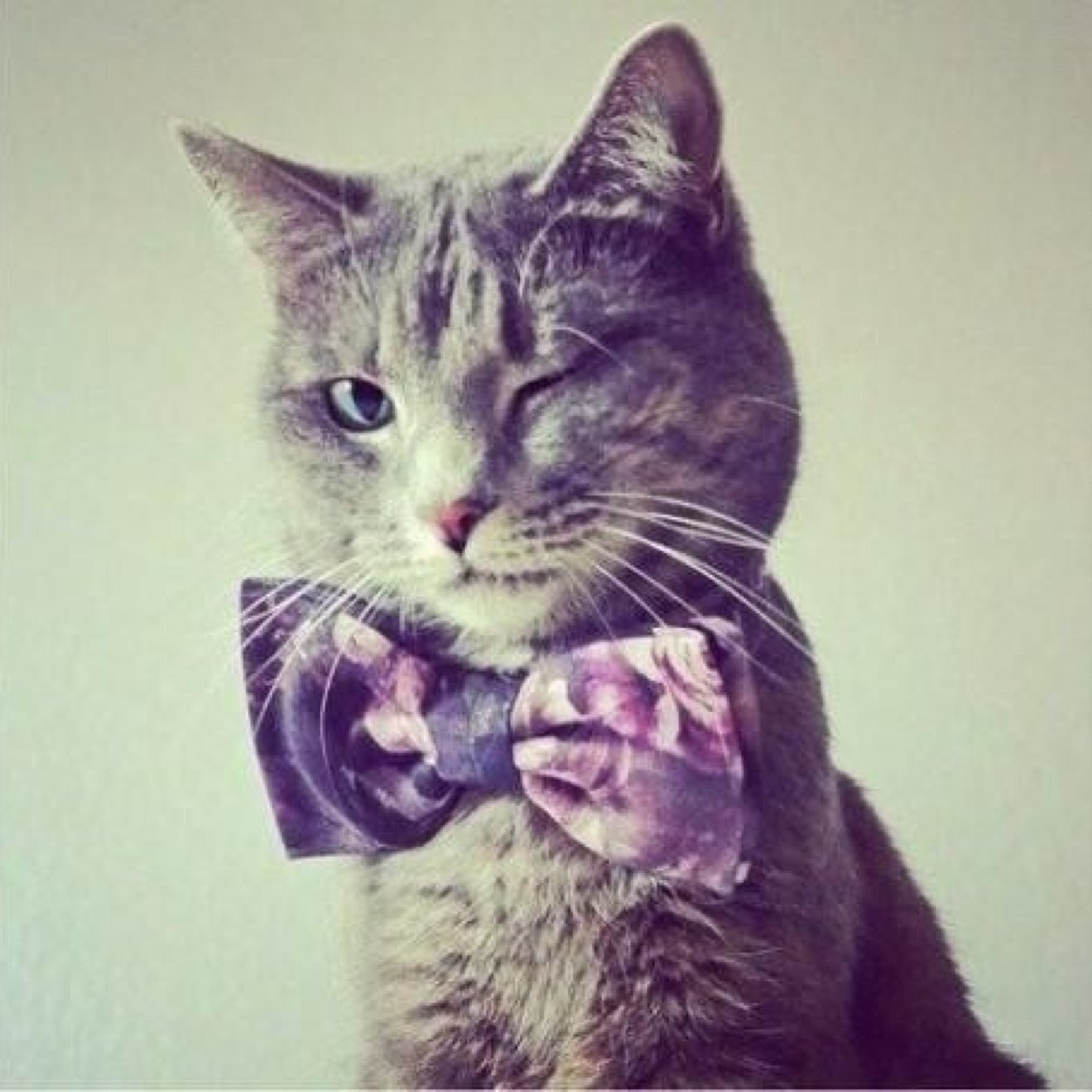 RaymondCB3's profile picture. Head of Advertising/Marketing at a #newmedia #socialmedia company. Provocateur, Entusiast!!! (http://t.co/Z0xpuY3Y97)