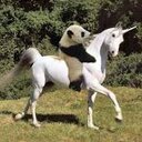 Summer_Jeter - @SummyBear12 - Twitter