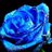 sherryskyblue's profile image