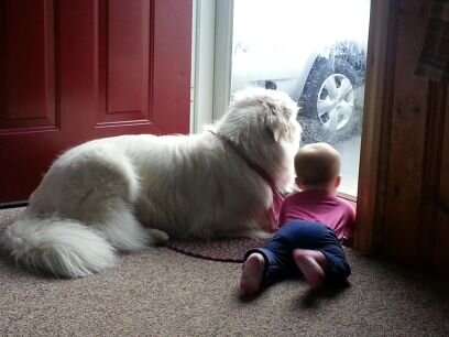 ErinMcRennick's profile picture. Ski addict, animal lover, dill pickle connoiseur