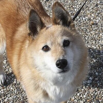 デザイン関係の仕事してます