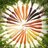AKRobin907's profile image