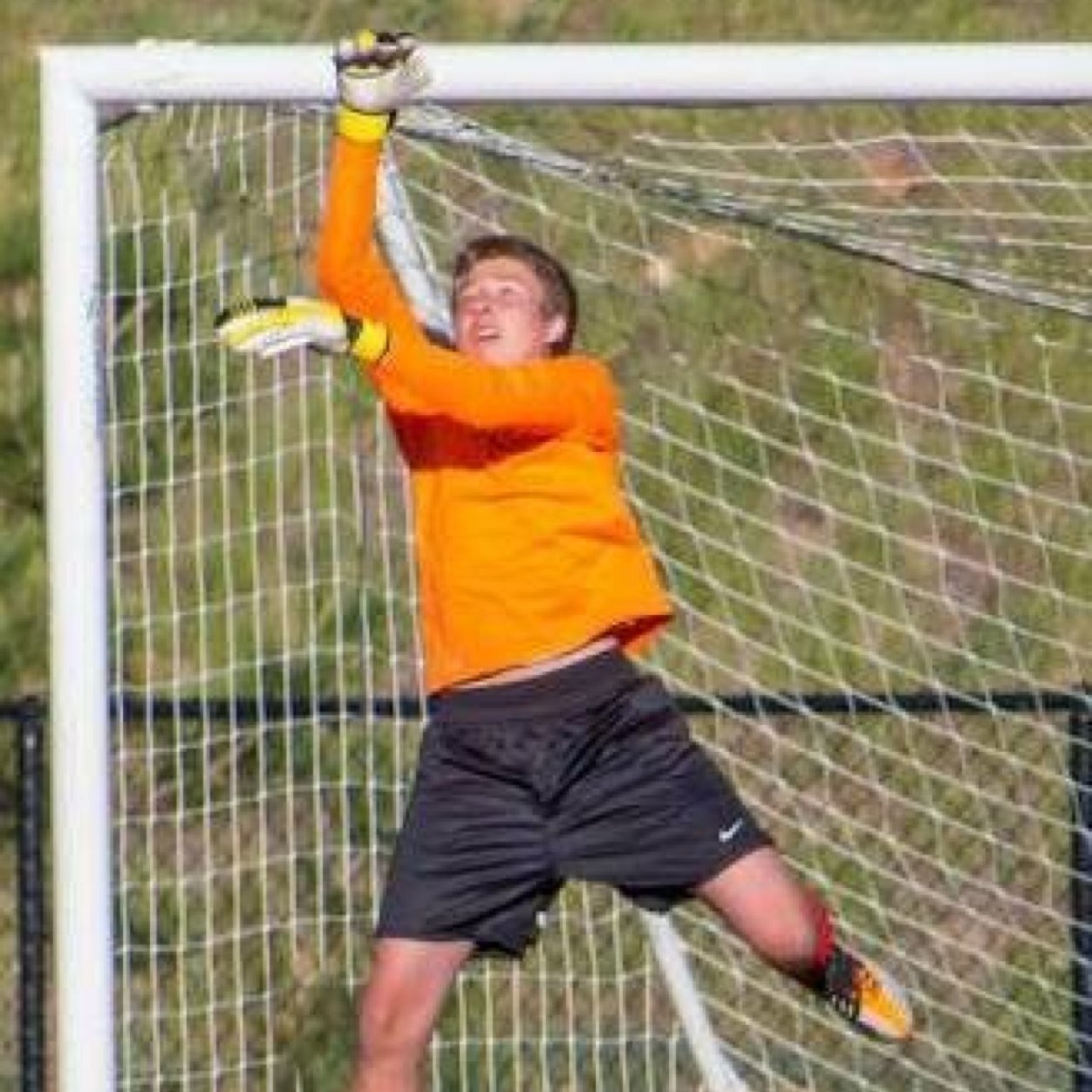 Wilsun1010's profile picture. I tweet sometimes